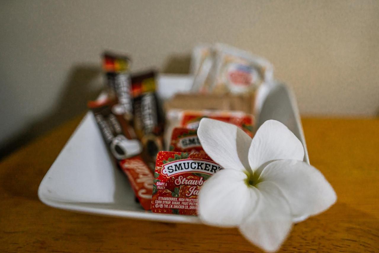 Connie'S Comfort Suites St. John's Екстериор снимка